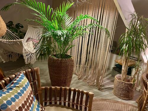 a room with two potted plants and two chairs at Chambre bohème chez Rachel in Pau