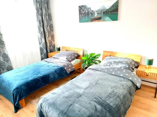 a bedroom with two beds and a picture on the wall at Family Apartments Tauchen in Mönichkirchen