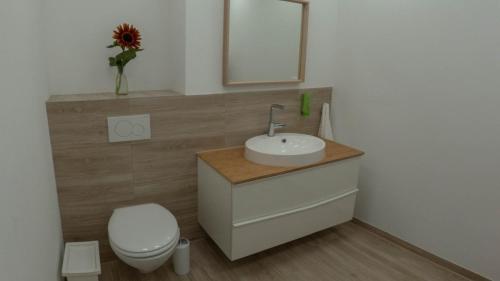 a bathroom with a sink and a toilet and a mirror at Eleonoras Ferienwohnung in Würzburg Stadt mit Terrasse im Erdgeschoss inklusive eigenen Parkplätzen vor der Tür in Würzburg