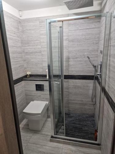 a bathroom with a toilet and a glass shower at Two-Bedroom Cosy Country Lodge with Private Patio in Greenhithe