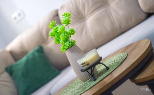 a green plant in a vase on a table at Apartment Novax - Free Parking in Mostar