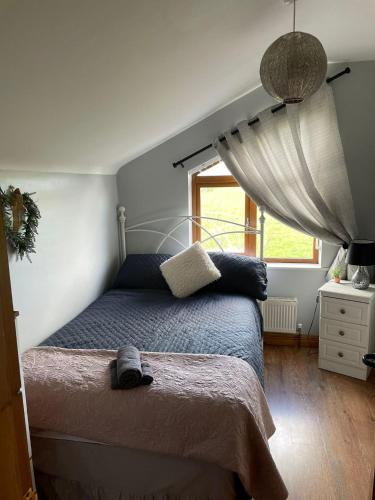 1 dormitorio con cama y ventana en Apartment in milltown, en Galway