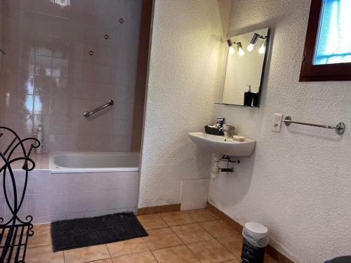 a bathroom with a sink and a shower and a bath tub at l'Espinet Vacances in Quillan