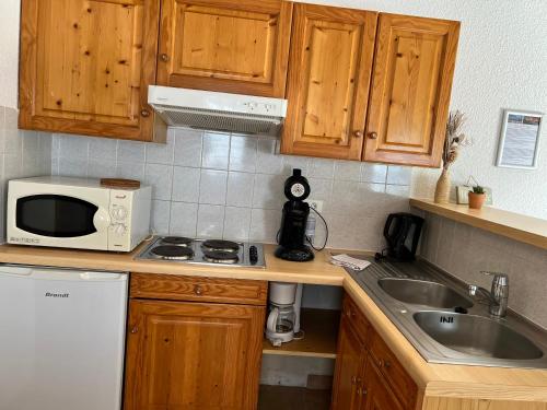 a kitchen with wooden cabinets and a microwave and a sink at l'Espinet Vacances in Quillan