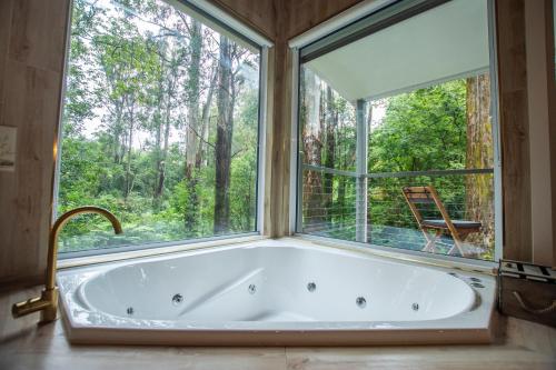 Un jardín fuera de The Fernglen Forest Retreat