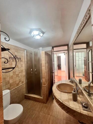 a bathroom with a sink and a toilet and a shower at Aceró Home in Los Llanos de Aridane