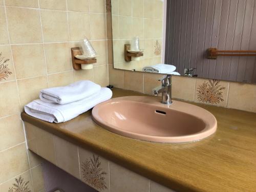 a bathroom with a sink and a mirror and towels at Logis hôtel & Restaurant - Auberge de la Forêt in Hazebrouck