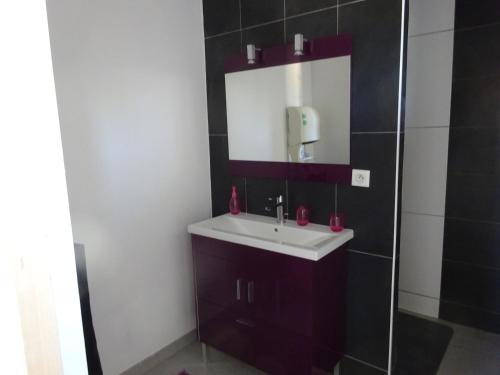 une salle de bain avec un lavabo et un miroir dans l'établissement le petit mousse, au Cap d'Agde