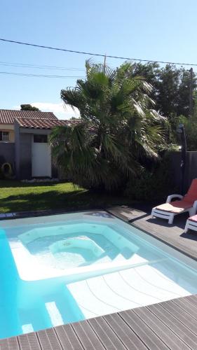 une piscine bleue avec un palmier et une maison dans l'établissement le petit mousse, au Cap d'Agde