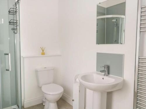 a white bathroom with a toilet and a sink at Sunnyside Farm in Grange Over Sands