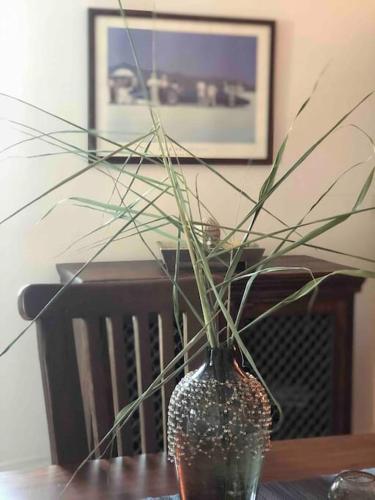 a vase with a plant in it on a table at Luxury-Elegant apartment in the heart of Patras​ in Patra
