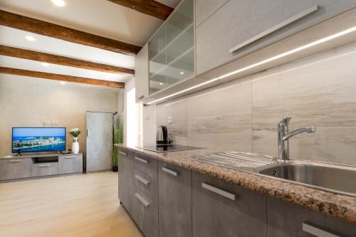 uma cozinha com um lavatório e uma televisão em Stancia Rosa - cozy apartment em Porec
