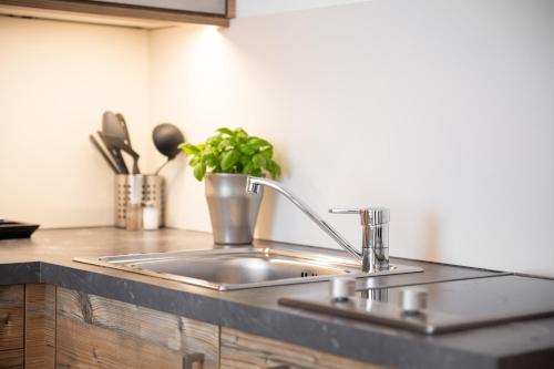 a kitchen sink with a potted plant on the counter at Snooze Apartments in Holzkirchen