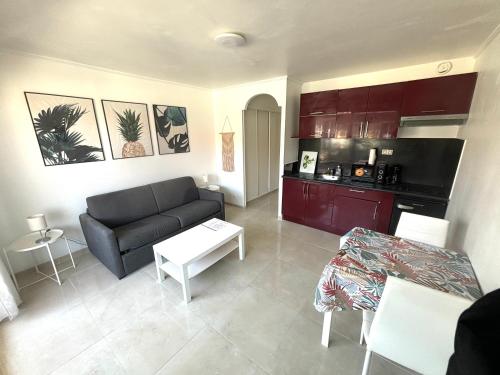 Il comprend un salon avec un canapé et une cuisine. dans l'établissement Studio Nice Centre garibaldi port plage, à Nice