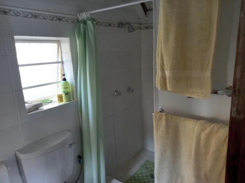 y baño con aseo y ducha. en Rosina Cottages, en Wakkerstroom