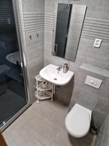 a bathroom with a toilet and a sink and a shower at Pension U Martina in Domažlice