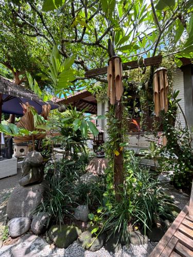 a garden with a tree with a bunch of plants at Royen Balinese Family Guest House- Traditional Batuan Homestay in Sukawati