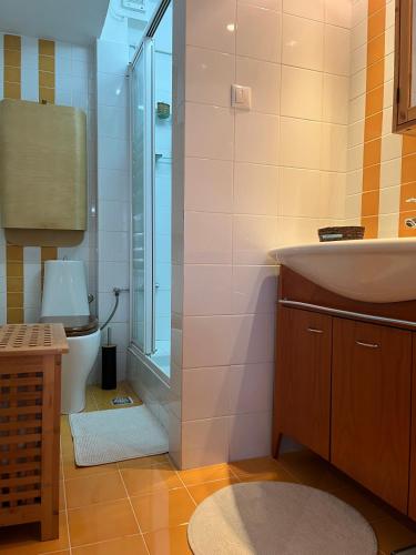 a bathroom with a sink and a shower and a toilet at Central loft D5 in Volos