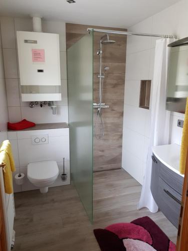 a bathroom with a shower and a toilet and a sink at Ferienhaus Breit in Eppenschlag