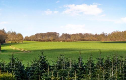 a large green field with trees in the foreground at Amazing Home In Nordborg With Kitchen in Nordborg