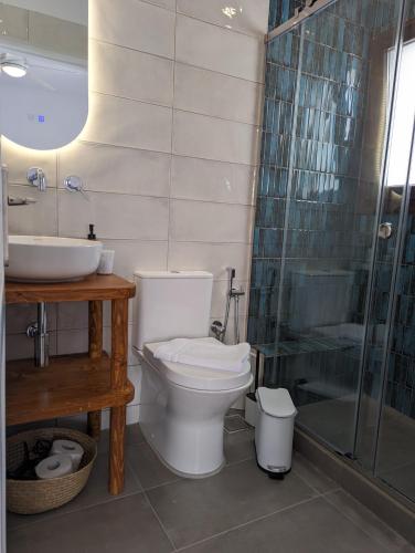 Ένα μπάνιο στο The Botanist Guesthouse