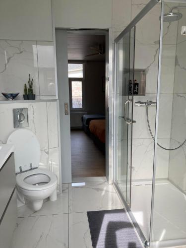 a white bathroom with a toilet and a shower at Bobs Bnb in Bruges