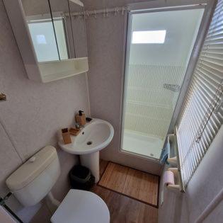 a small bathroom with a toilet and a sink at MOBILE HOME COSY 4/5 personnes in Hyères