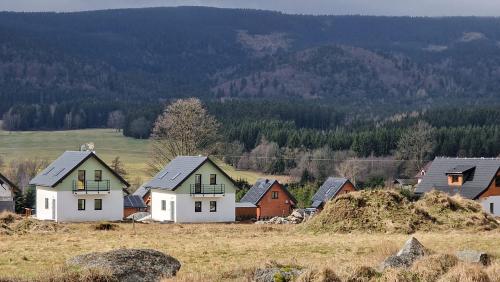 un grupo de casas en una colina en un campo en All Season Ski&Bike - domki 4km od Zieleńca en Lasowka