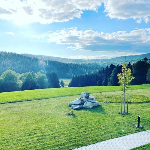a pile of rocks in a field with a tree at Feriendorf Waidlerland in Mauth