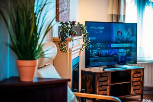 uma sala de estar com uma televisão e um vaso de plantas em Spacious White House 3 bedrooms with parking, garden, Wi-Fi em Telford