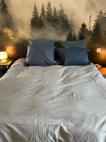 - un grand lit blanc avec des oreillers bleus dans une chambre dans l'établissement Maison Valette, à Roussillon-en-Morvan