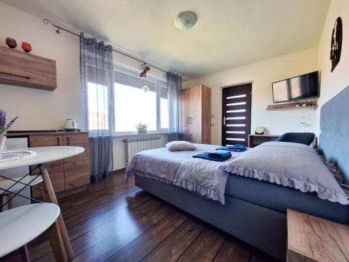 a bedroom with a bed and a table and a kitchen at Noclegi Fregata - Pokoje Gościnne w Solinie 661-459-339 in Solina