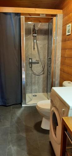 a bathroom with a shower and a toilet at La Simonette in Dienville