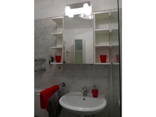 a bathroom with a sink and a mirror at Holiday apartment Sonia on the lake in Bad Wiessee