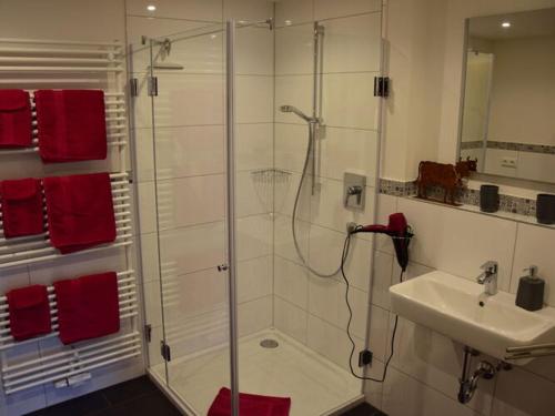 W łazience znajduje się prysznic i umywalka. w obiekcie Holiday apartment at Gallus Denneberg w mieście Oberstaufen