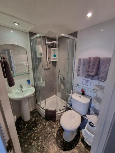 a bathroom with a shower and a toilet and a sink at The Sup Shack Wellington Inn in New Quay