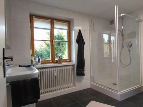 a bathroom with a shower and a sink and a window at Holiday apartment Alpenrose in Rieden am Forggensee