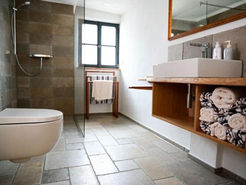W łazience znajduje się toaleta, umywalka i lustro. w obiekcie Holiday home time out in the monument w mieście Lohr am Main