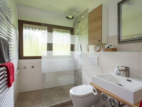 a bathroom with a toilet and a sink and a mirror at Holiday apartment Bergwiese in Lenzkirch
