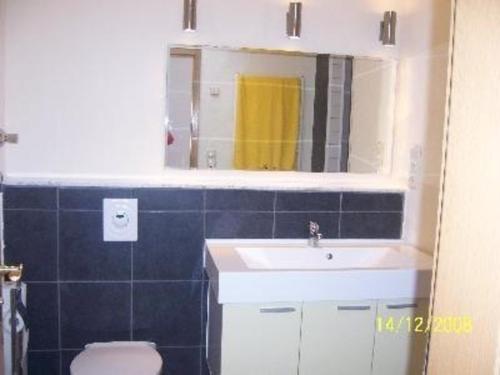 La salle de bains est pourvue d'un lavabo, de toilettes et d'un miroir. dans l'établissement Wohnung Haus Sport Alpin Nr 10 mit Terrasse in Oberstdorf-Tiefenbach, à Oberstdorf