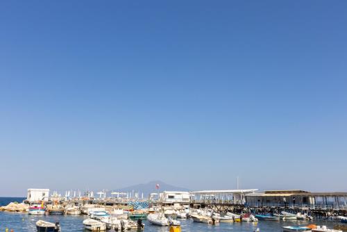 a bunch of boats are docked in a harbor at Marinautica Sea Cottage in Sorrento