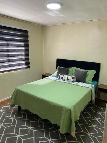 Schlafzimmer mit einem großen grünen Bett und einem Fenster in der Unterkunft Habitación privada bombero garrido in Curicó