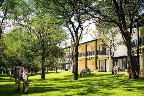Κήπος έξω από το Royal Livingstone Hotel by Anantara