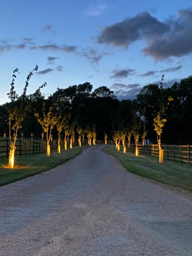 a dirt road with trees with lights on it at The Annexe - KG Retreats in Ketton