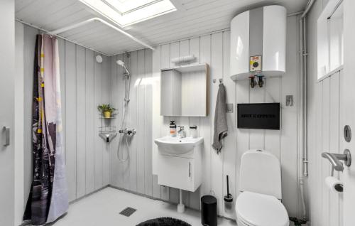 y baño con aseo blanco y lavamanos. en Amazing Home In Jgerspris With 2 Bedrooms And Wifi, en Jægerspris