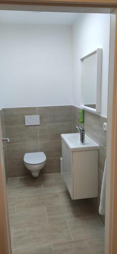 een badkamer met een toilet, een wastafel en een spiegel bij Eleonoras Ferienwohnung in Würzburg Stadt inklusive eigenen Parkplätzen vor der Tür in Würzburg
