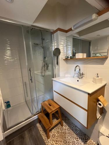 La salle de bains est pourvue d'un lavabo et d'une douche. dans l'établissement LES BAIGNEUSES, à Dieppe