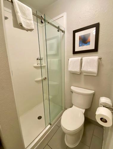 a bathroom with a toilet and a glass shower at Holiday Inn Express Metropolis by IHG in Metropolis