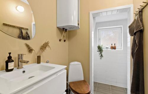 La salle de bains est pourvue d'un lavabo, de toilettes et d'un miroir. dans l'établissement 3 Bedroom Awesome Home In Frederiksvrk, à Frederiksværk