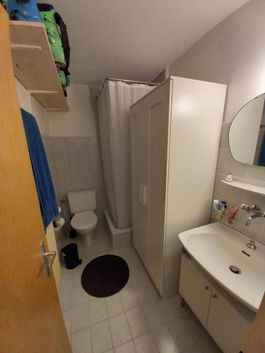 a small bathroom with a toilet and a sink at Studio aux Glaciers in Zinal